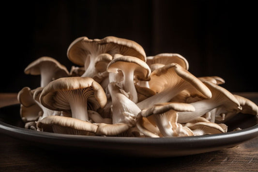 Rețete uimitoare de ciuperci de stridii: o experiență culinară încântătoare