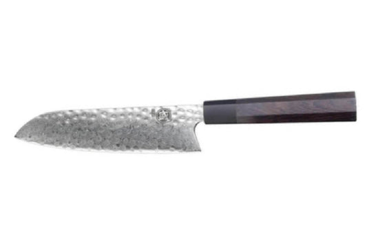 Pentru ce este un cuțit Santoku cel mai bine folosit? (Utilizări și tipuri de alimente)